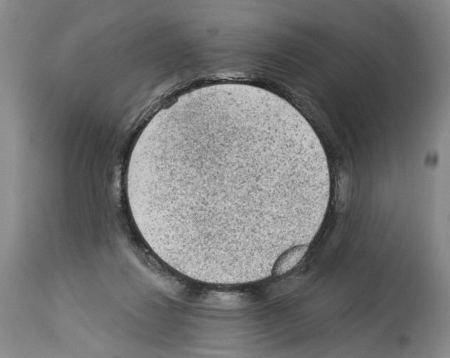 X0000113960260200911061332
