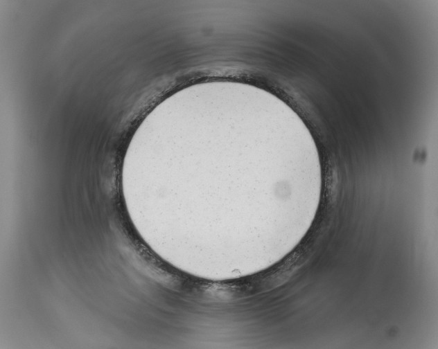 X0000113960261200911061332