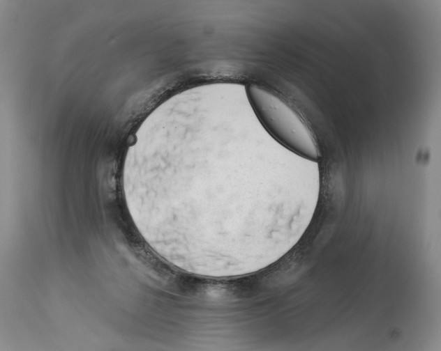X0000113960264200911061332