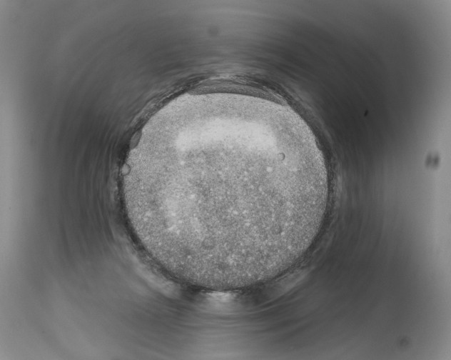 X0000113960265200911061332