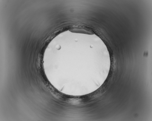 X0000113960266200911061332