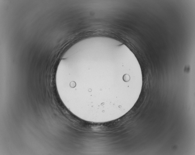 X0000113960268200911061332