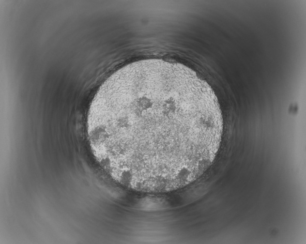 X0000113960270200911061332