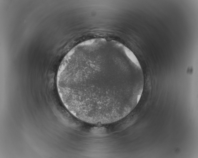 X0000113960271200911061332