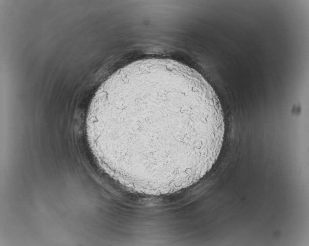 X0000113960273200911061332