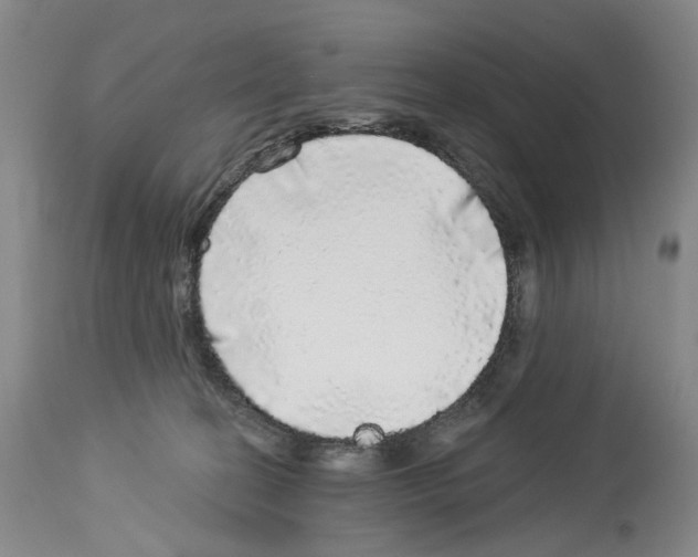 X0000113960274200911061332