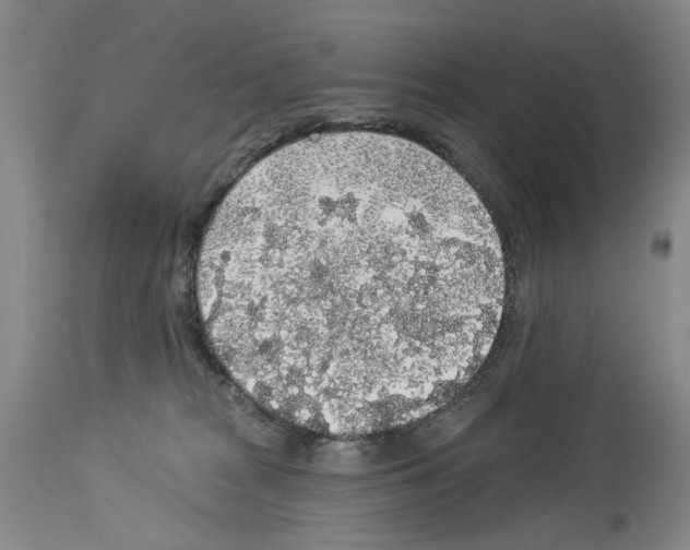 X0000113960277200911061332