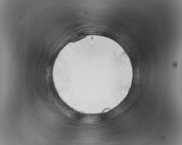 X0000113960278200911061332