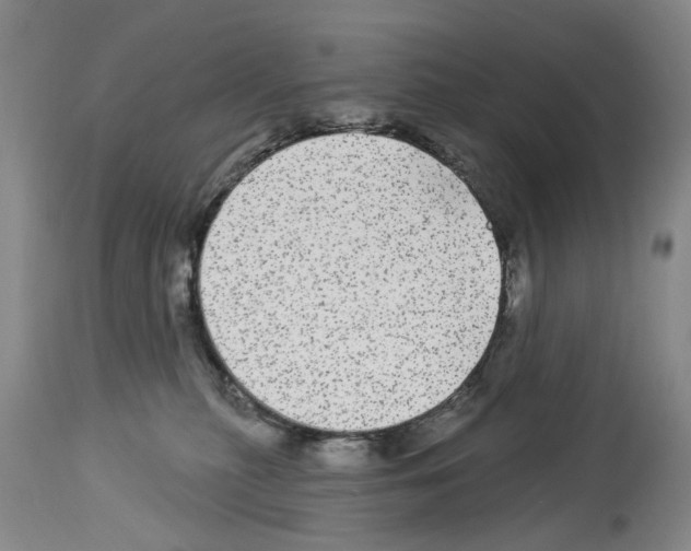 X0000113960279200911061332