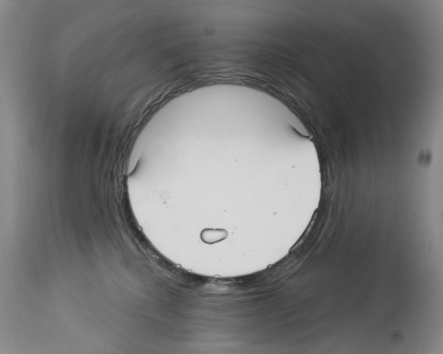 X0000113960280200911061332