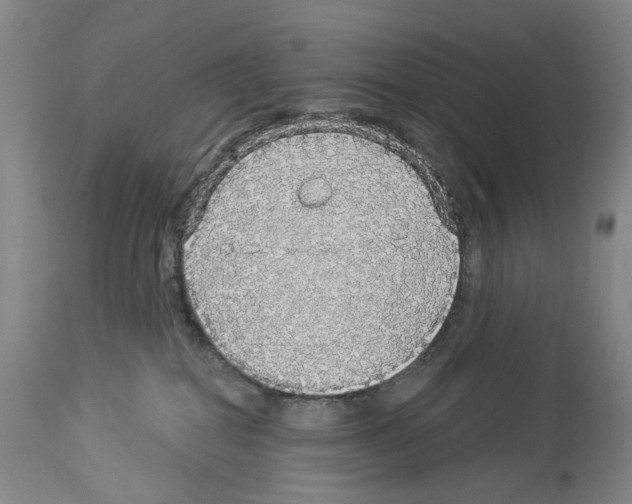 X0000113960282200911061332