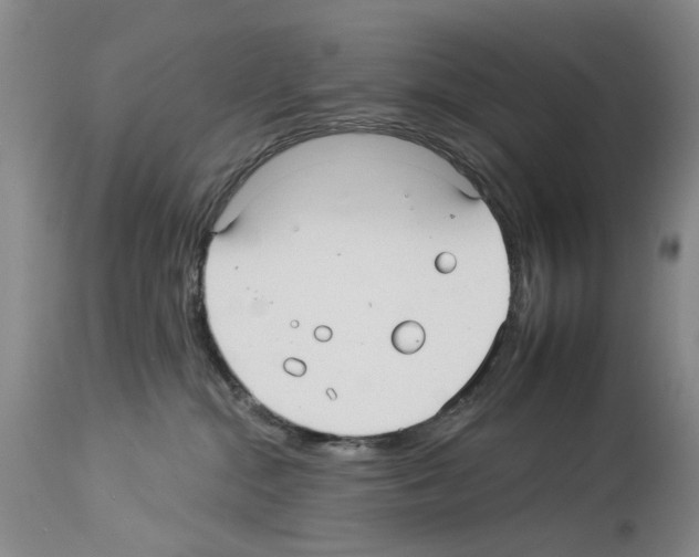 X0000113960284200911061332