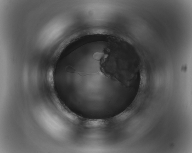 X0000113960286200911061332