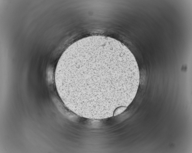 X0000113960287200911061332
