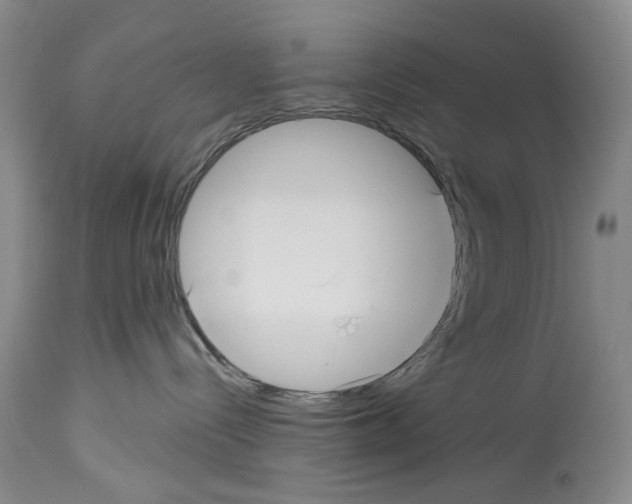 X0000113960288200911061332