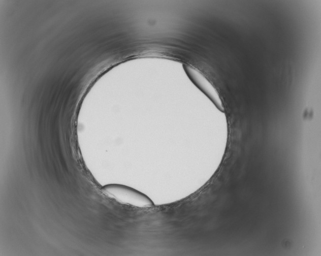 X0000113960289200911061331