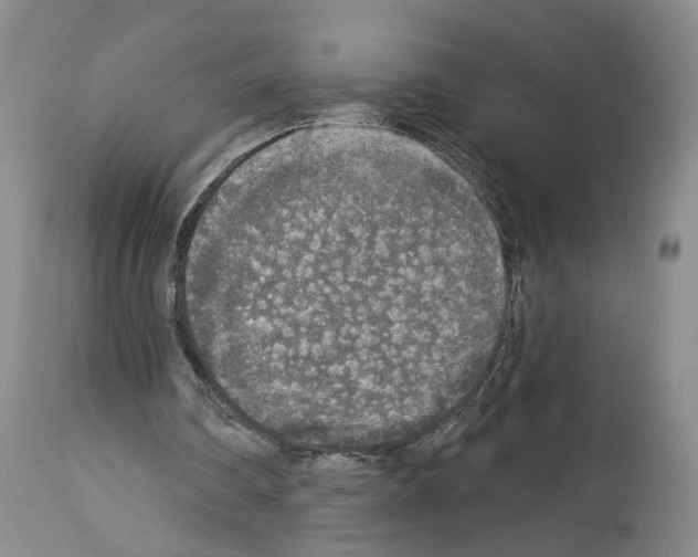 X0000113960290200911061331