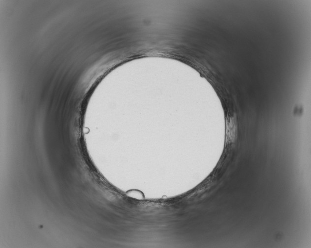 X0000113960291200911061331