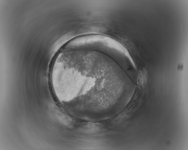 X0000113960292200911061331