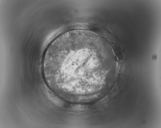 X0000113960293200911061331