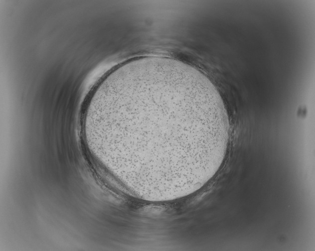 X0000113960294200911061331