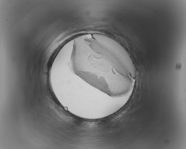 X0000113960295200911061331