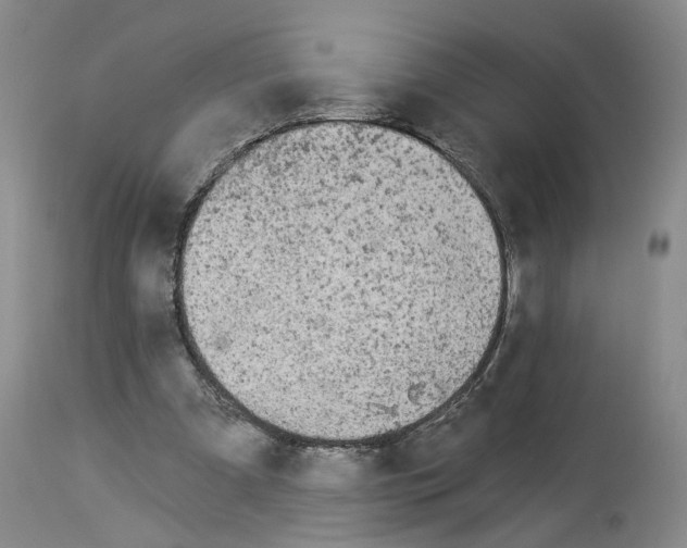 X0000113960297200911061331