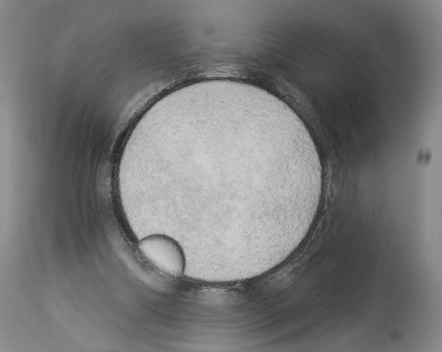 X0000113960298200911061331