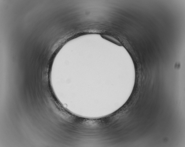 X0000113960299200911061331