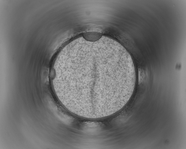 X0000113960300200911061331