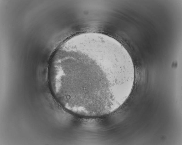 X0000113960301200911061331