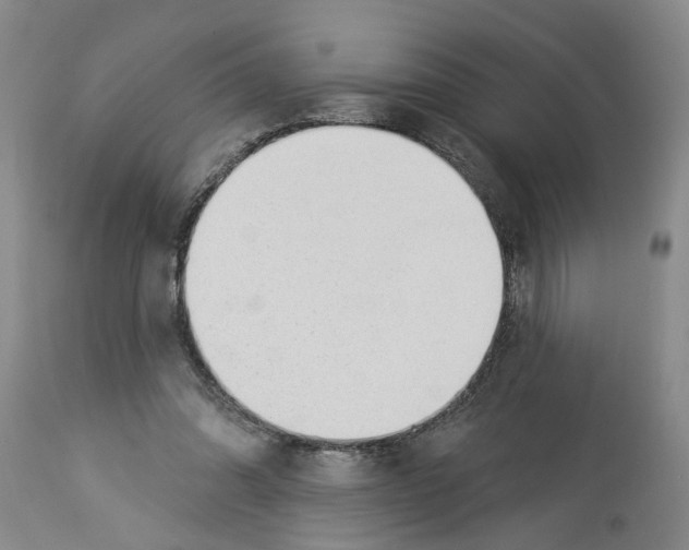 X0000113960302200911061331