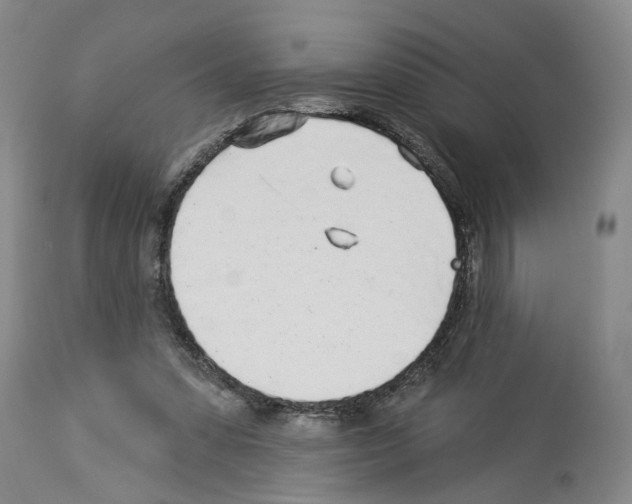 X0000113960303200911061331