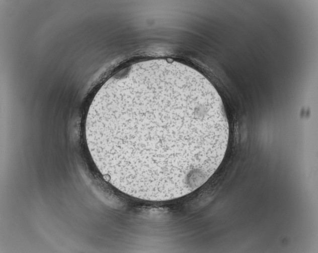 X0000113960304200911061331