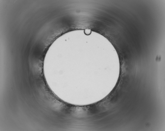 X0000113960305200911061331
