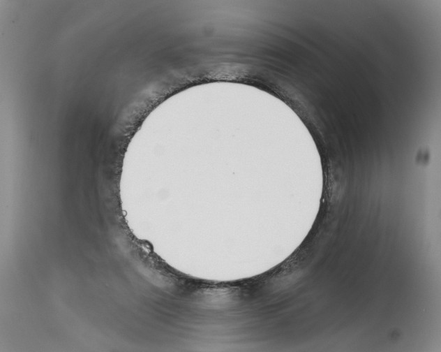 X0000113960307200911061331