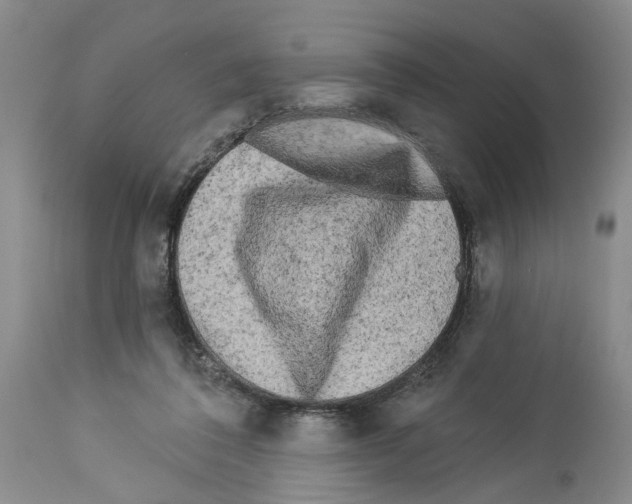 X0000113960308200911061331