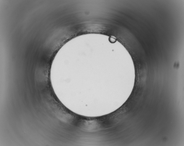 X0000113960309200911061331