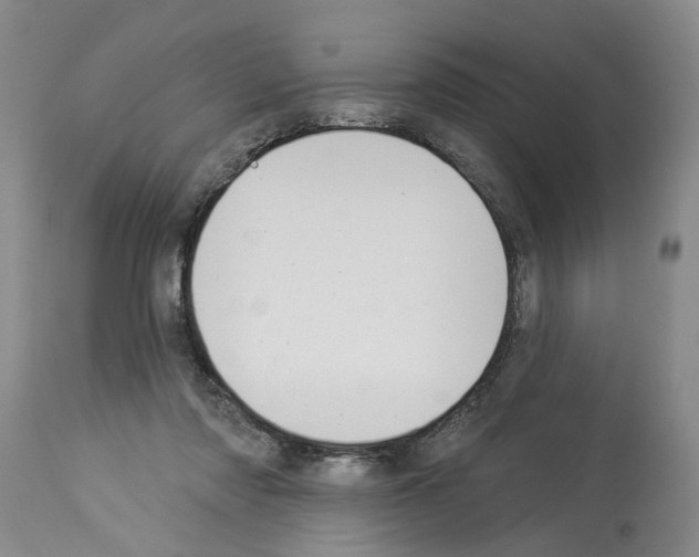 X0000113960310200911061331