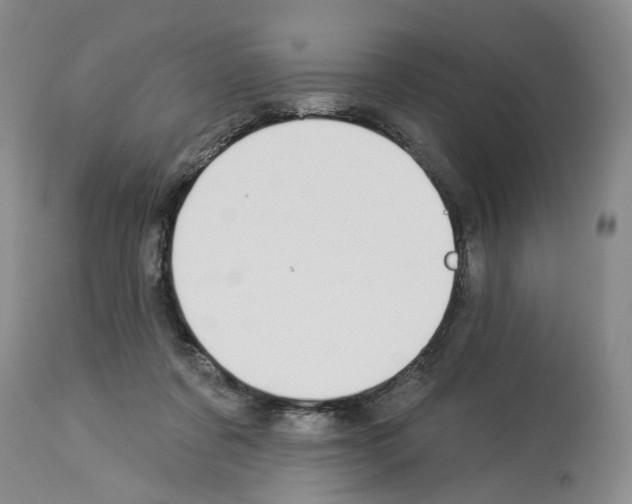 X0000113960311200911061331