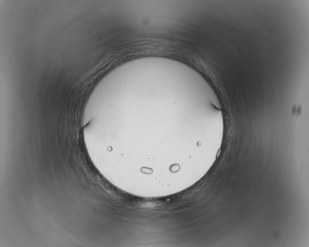 X0000113960313200911061331