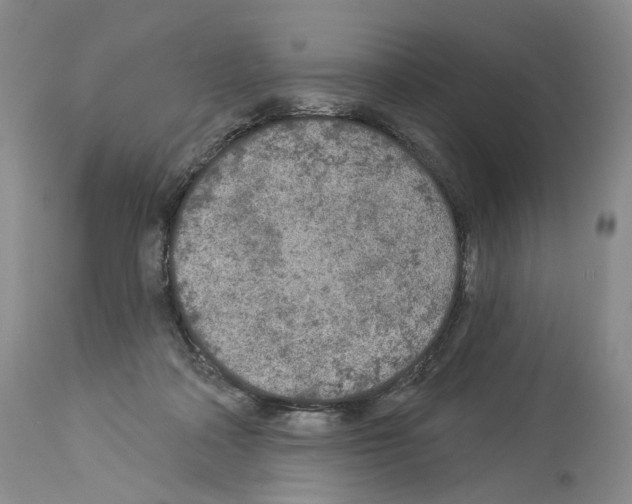 X0000113960314200911061331