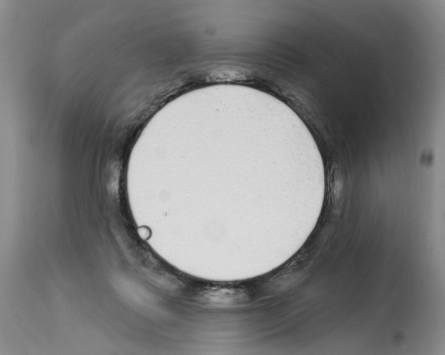 X0000113960315200911061331