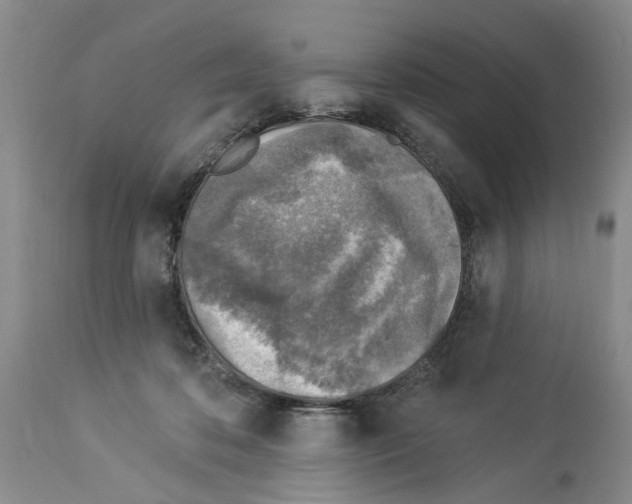 X0000113960316200911061331