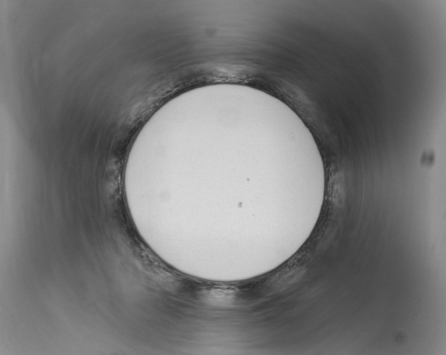 X0000113960318200911061331