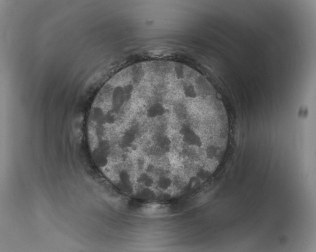 X0000113960319200911061331