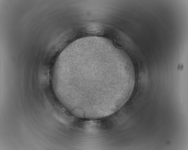 X0000113960320200911061331