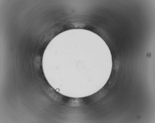 X0000113960321200911061331