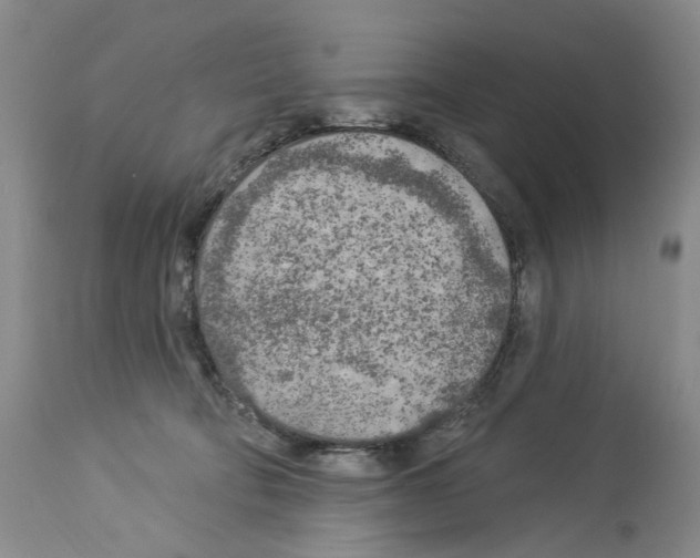 X0000113960322200911061331