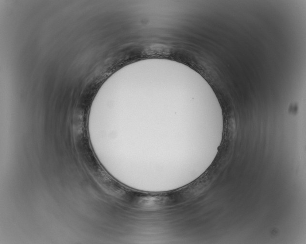 X0000113960323200911061331